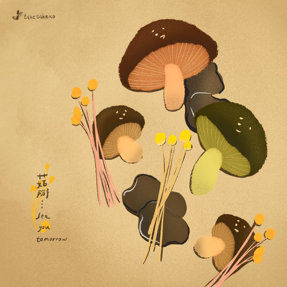 菇掰